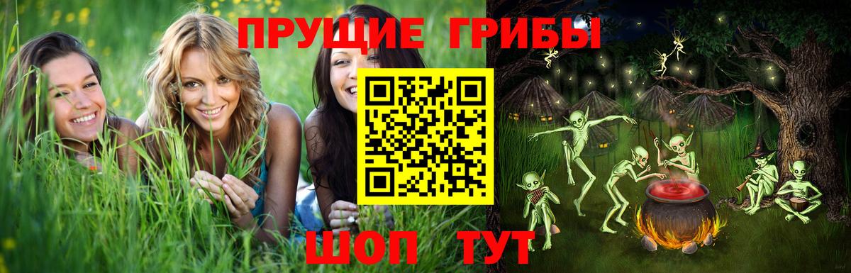 Медногорск  Псилоцибиновые грибы ЛСД  Вход с VPN 